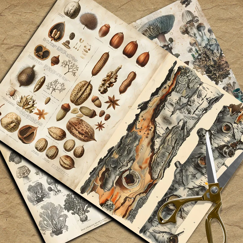 New Vintage Material Papers DI – Vintage Things Collection recenzja i cena